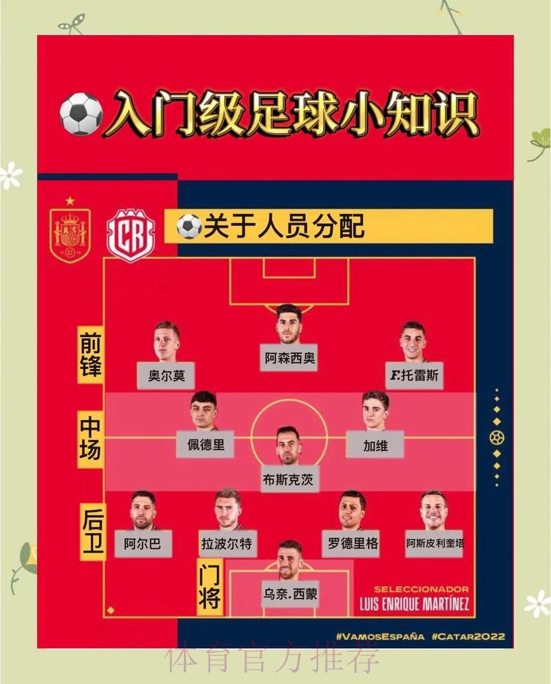 世界杯滚球平台新网址深度解析与实用选择技巧 世界杯滚球平台新网址深度解析与实用选择技巧